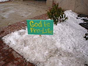 Anti abortion rally in Washington, D.C. Decemb...