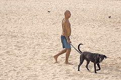 walk the dog on rhe beach