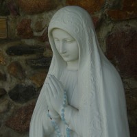 Mary’s Rosary Promise #1