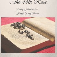 Introducing my New Book!  The 44th Rose