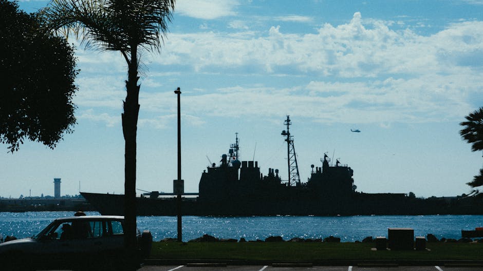 Silhouette of a navy warship in daylight, framed by palm trees and a clear sky.